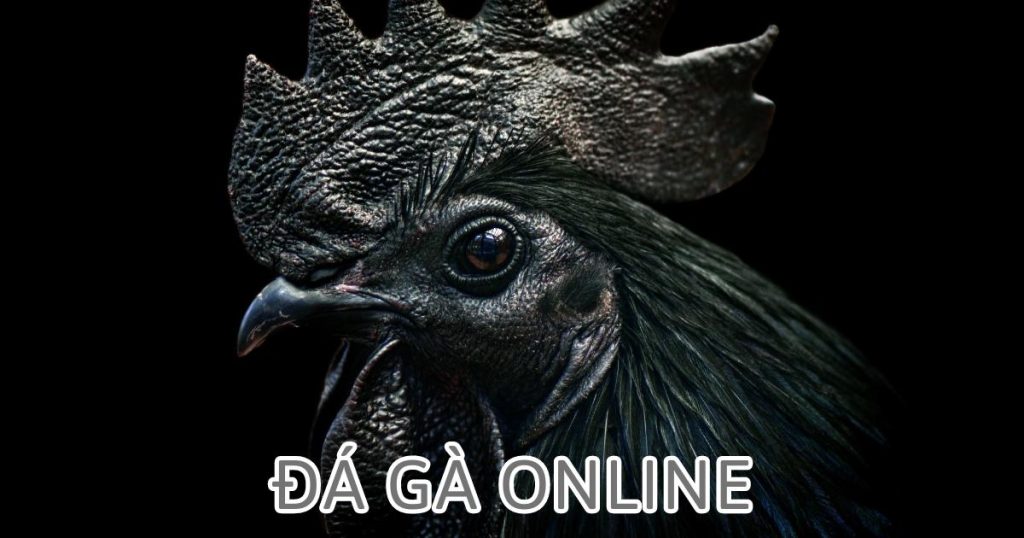 Đá Gà Online