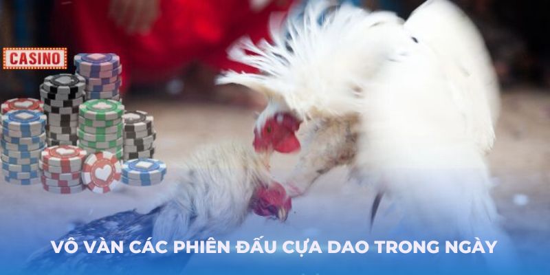 Vô vàn các phiên đấu cựa dao trong ngày